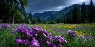 Vibrant wildflowers in a lush meadow under a dramatic sky with distant mountains in the late afternoon photo