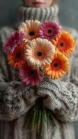 Colorful bouquet of gerbera daisies held by a person in cozy winter attire photo