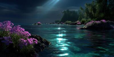 Vibrant flowers bloom along the rocky shoreline under moonlit sky above tranquil waters at night photo