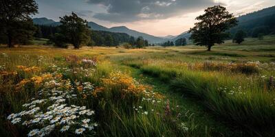 Serene landscape with wildflowers and rolling hills at sunset in a peaceful valley photo