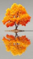 Vibrant orange tree stands alone on an island with mirrored reflection during autumn season photo