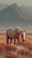Beautiful horse grazing in golden grassland against majestic mountain backdrop during serene sunset photo