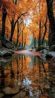 Autumn foliage reflects in a tranquil stream surrounded by tall trees in a serene forest landscape photo