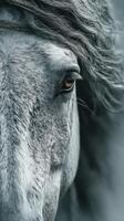Close-up view of a horse's eye highlighting its expressive features and flowing mane in a serene outdoor setting photo