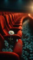 Flowers bloom in abandoned theater seats highlighting nature's resilience and beauty in a forgotten space photo