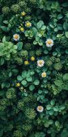 Lush greenery and wildflowers thrive in a vibrant garden during springtime photo