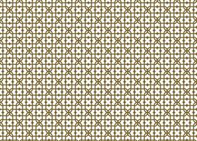 Decorative Eastern-inspired pattern with hand-drawn look. vector