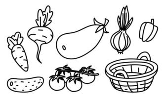 set of vegetables and a basket of doodle illustration. Monochrome image. Linear vegetables are suitable for making recipes, packaging, menus, and stickers in a farmer's or vegetarian style. vector