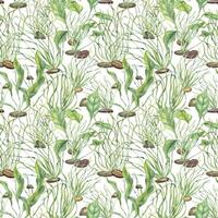 Watercolor aquatic plants, algae and pebbles creating underwater bottom effect seamless pattern isolated background. Water floating kelps illustration. Aquarium ornate for marine biodiversity decor. vector