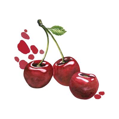 Red ripe cherries couple with leaf with juice paint splashes stains. Hand drawn watercolor illustration on the theme of fruits, food and desserts. Ready arrangement isolated from background.