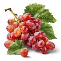 A bunch of ripe red grapes with leaves isolated on a white background photo