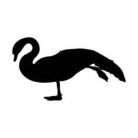 Swan Silhouette isolated on white background vector