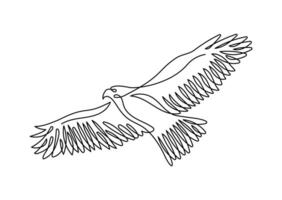 Hawk in continuous line drawing style. Minimalist sketch of eagle, hawk bird in minimalist black linear isolated on white background. vector