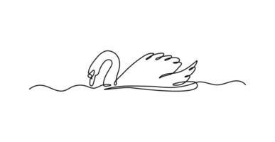 Swan continuous one line drawing. Minimalist animal sketch on a white isolated background. vector