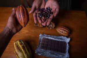 Two chocolate makers are holding cocoa pods with the extracted cocoa beans in their hands. photo