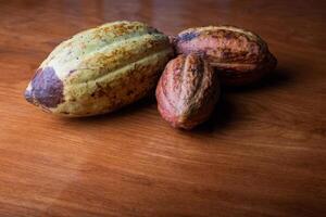 Cocoa pods arranged on a table with copy space below photo