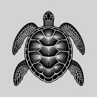 Detailed turtle Shell and Flippers Art Design vector