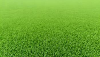 Vast green field with flowing dense grass and soft fresh tones in bright natural lighting photo