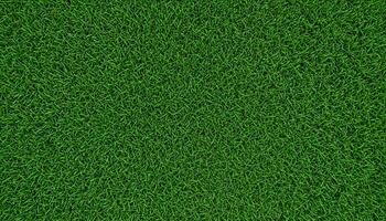 Expansive lush green field with flowing dense grass under soft natural lighting photo