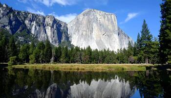 Majestic El Capitan granite peak towering over pine forest and reflected in still water in Yosemite photo