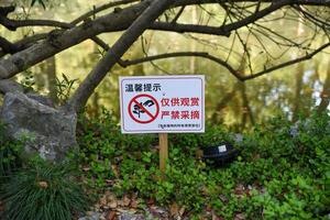 Chinese sign in Peoples Park, Shanghai, says For viewing only. Picking is strictly prohibited, warning visitors not to pick plants or flowers photo