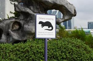 Street sign in Singapore reads Otter Crossing. Please do not approach but view from a distance with otter illustration. Urban wildlife awareness theme. photo