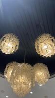 Five Shell Chandelier Light Fixtures on Dark Ceiling photo