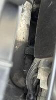 Engine Compartment Components, Close-Up View photo