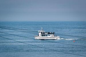 Passenger Boat on Ocean with Overhead Wires at Seahouses Harbour, UK photo