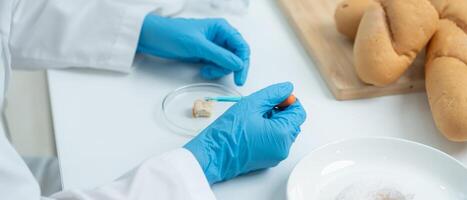Scientist check chemical and fungus in laboratory. Control experts inspect the concentration of chemical residues. hazards, standard, prohibited substances, contaminate photo