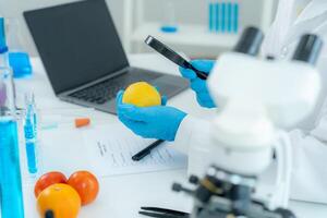 Scientist use magnify glass to check physical occur from chemical on fruit and vegetable residues in laboratory. inspect the concentration of chemical residues, standard, find prohibited substances photo