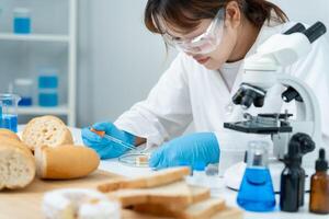 Scientist check chemical and fungus in laboratory. Control experts inspect the concentration of chemical residues. hazards, standard, prohibited substances, Microbiologist photo