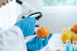 use magnifying glass to check physical occur from chemical on fruit and vegetable residues in laboratory. inspect the concentration of chemical residues, standard, find prohibited substances. photo