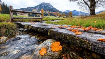Rustic Wooden Footbridge Over Autumnal Stream, Mountain View photo