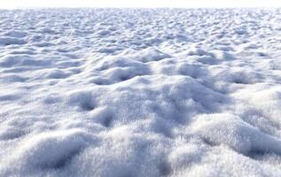 Snowy winter landscape. photo