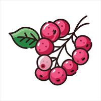 Flat grape fruit icon design vector