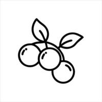Grape fruit icon design vector
