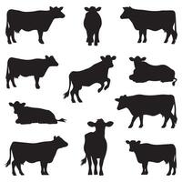 A Collection of Cow Silhouettes in Various Poses vector