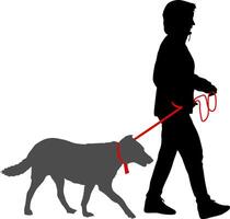 The silhouette on a white background of a people with a dog for a walk vector