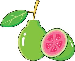 guava vectors design