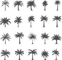 Set silhouettes of palm tree isolated on transparent background vector