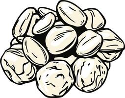 Artistic Illustration Depicting A Pile Of Fresh Shelled Macadamia Nuts On Plain Background vector