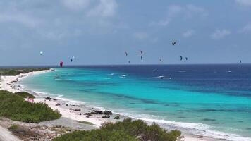 Aerial View of Kiteboarding Bonaire in Kralendijk Bonaire in Netherlands Antilles . Famous Scene. video