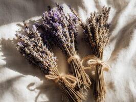 Three dried lavender flowers tied with twine photo