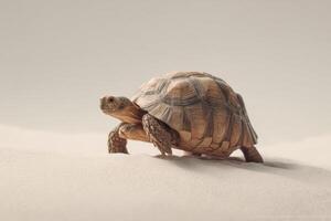 A tortoise walking in the sand photo