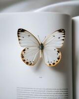 A white butterfly is sitting on top of an open book photo