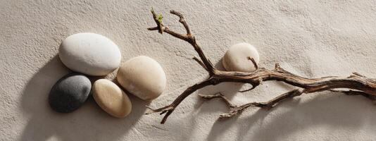 A branch with stones and pebbles on it photo