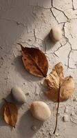 A group of stones and leaves on a wall photo