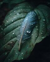 A feather is covered in water droplets on a leaf photo