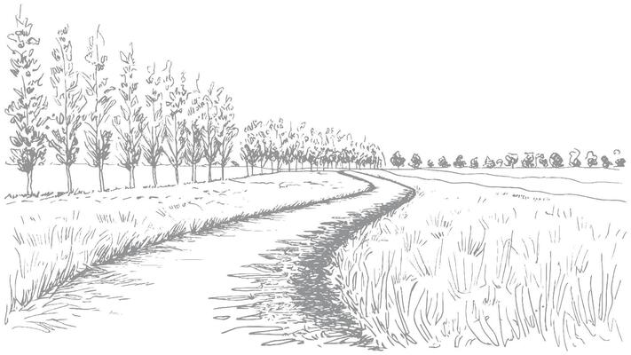 landscape with trees house and mountain hand-drawn
